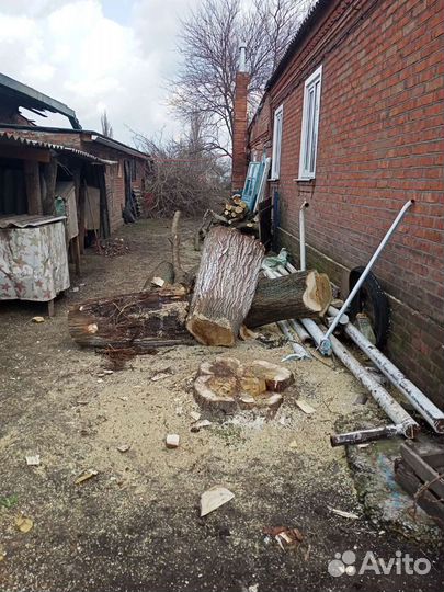 Покос травы, спил деревьев