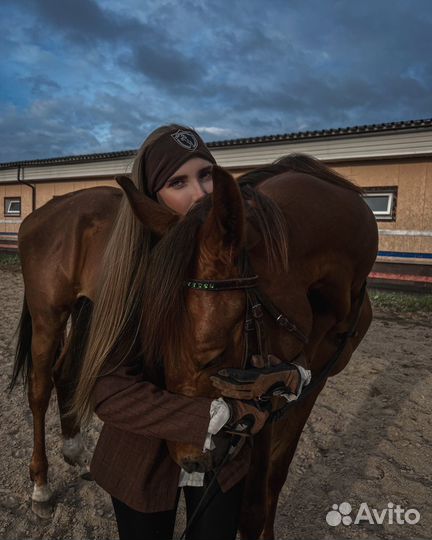 Лошадь для фотосессии