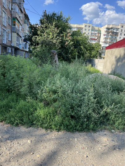Участок 1,61 га (ИЖС)