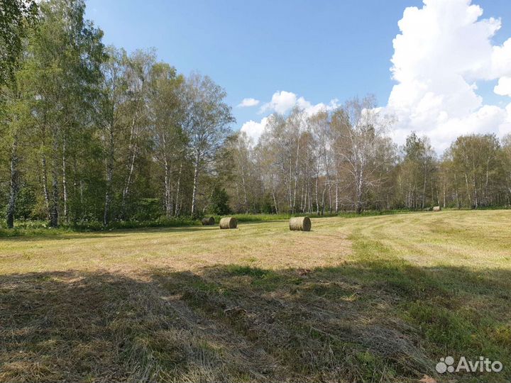 Сено в рулонах 350кг