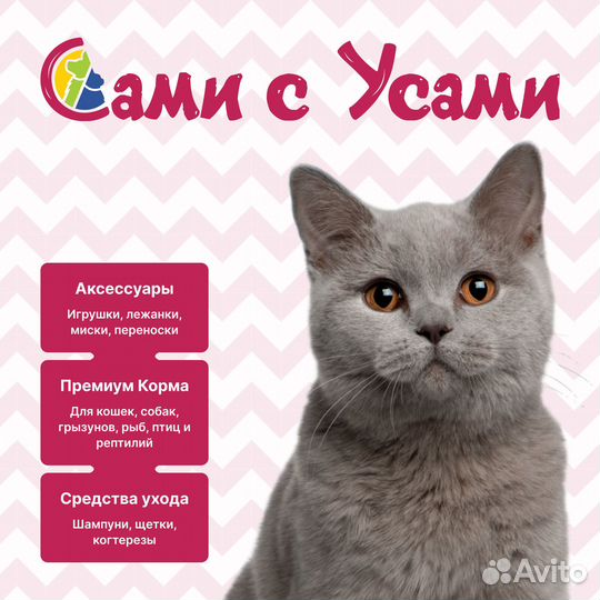 Royal canin Pomeranian Adult Корм.сух.д/собак