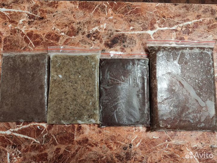 Артемия, Стрептоцефал, Мотыль, Дафния (заморозка)