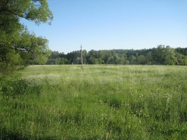 Участок 20 сот. (ИЖС)