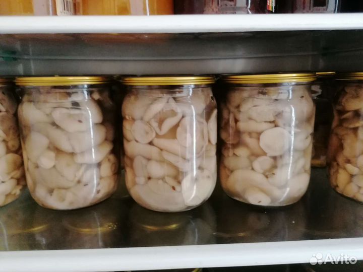 Маслята, опята