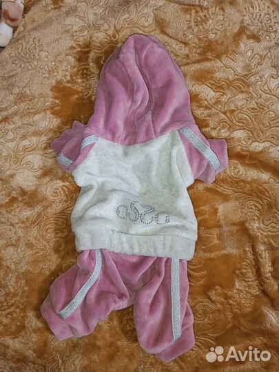 Костюм для животных