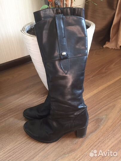 Сапоги женские весенние Geox