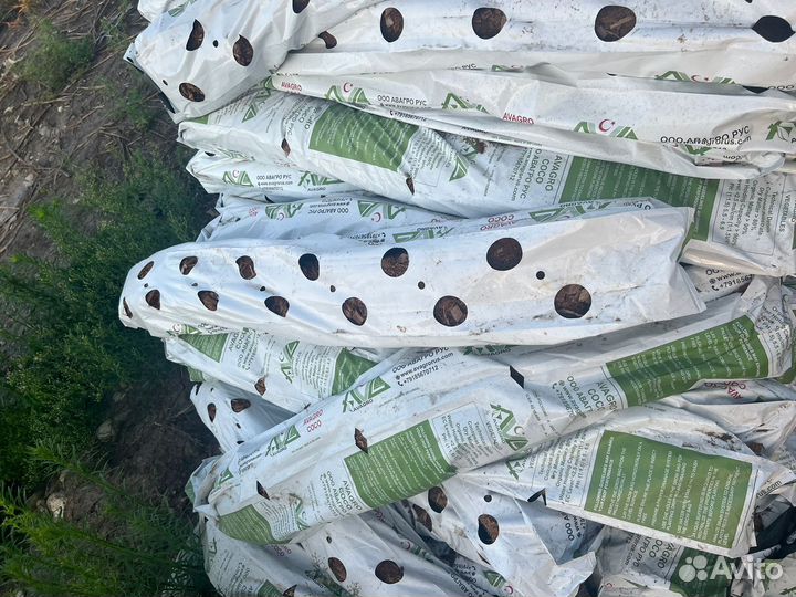 Кокосовый субстрат клубника