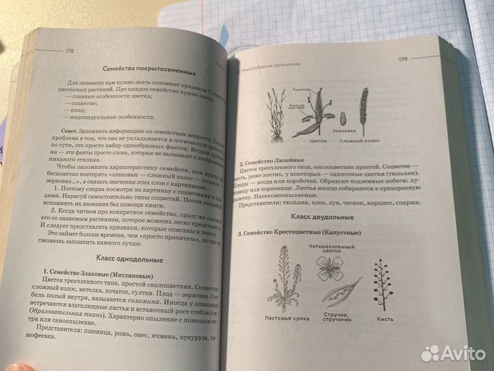 Биология репетитор Даниил Дарвин вебиум