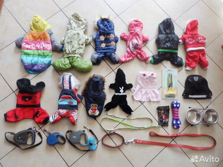 Аксессуары и Одежда для Собаки или Кошки