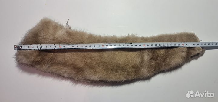 Шкурка животного