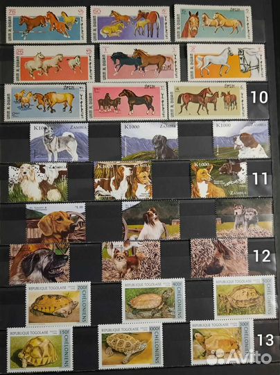 Коллекция марок Фауна 60-90х 16 (чистые )