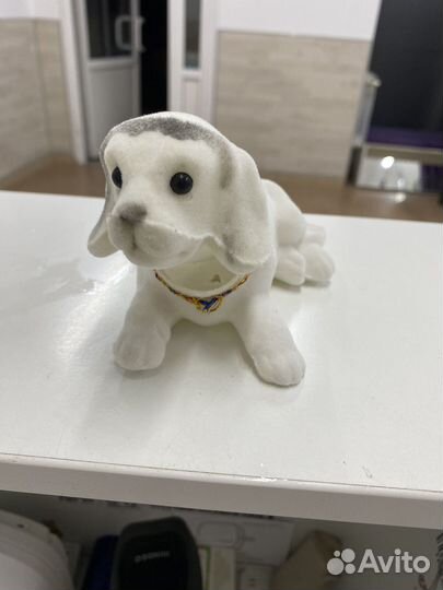 Собака в машину