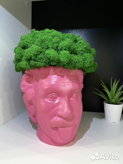 Кашпо горшок для цветов/декора Эйнштейн, керамика