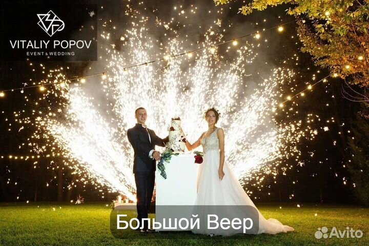 Хол.фонтаны,Тяж.дым, Снег, Конфетти,Свет, Ведущий