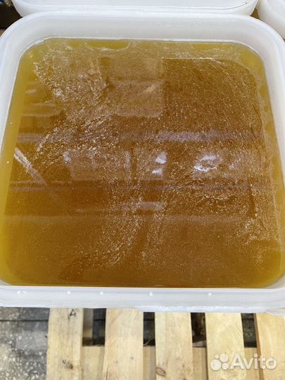 Мед с Алтая жидкий цветочный мед оптом