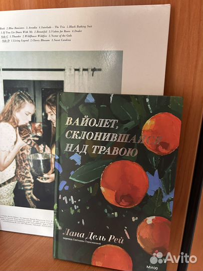 Сборник стихов Lana del rey