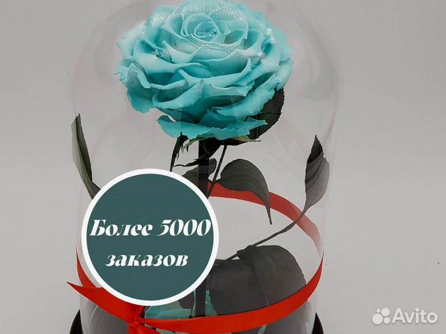 Розы в колбе разные