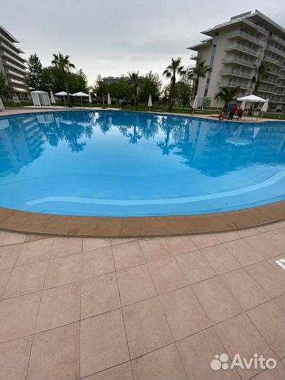 Сочи Парк Отель 3*