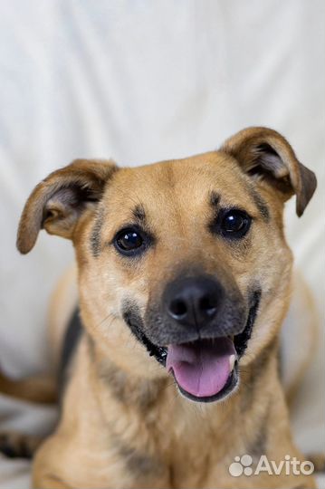 Посмотрите на меня