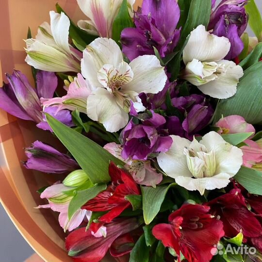 Букет альстромерия/Доставка цветов