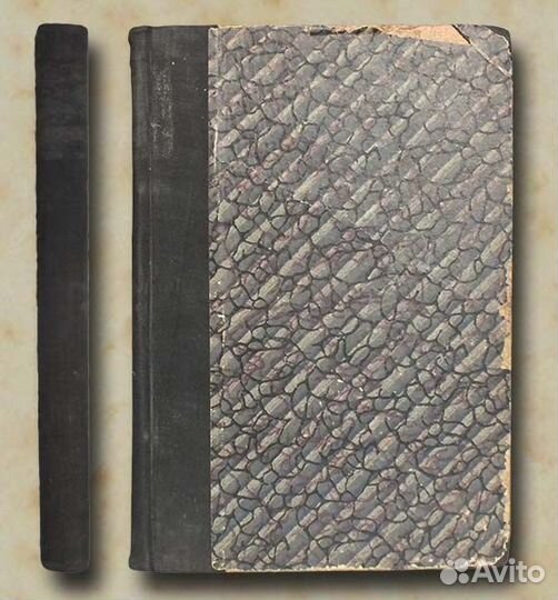 Дурново Николай Очерк истории русского языка 1924