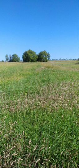 Участок 60 сот. (ИЖС)