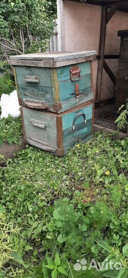 Улей для пчел