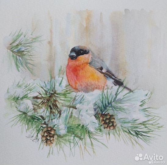 Картина Акварель снегирь рисую на заказ