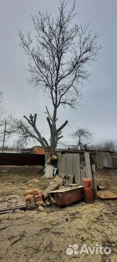 Вывоз мусора, спил деревьев