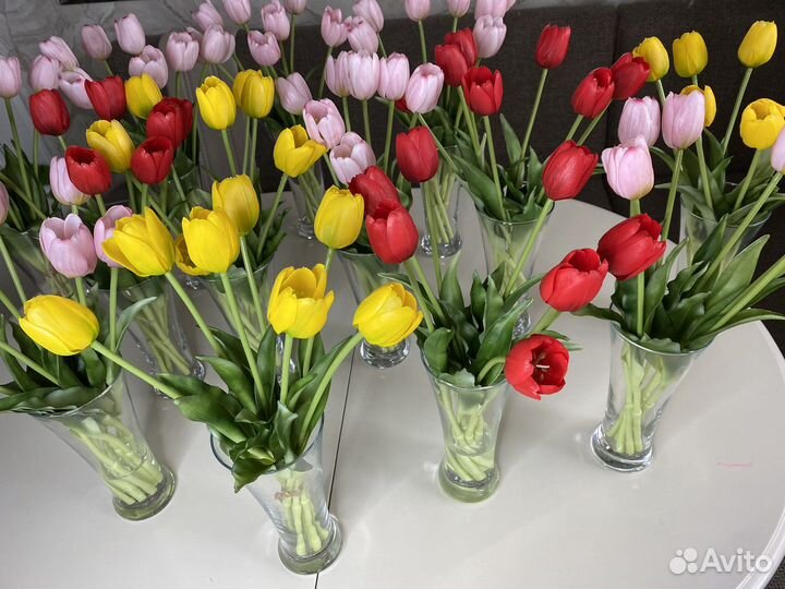 Тюльпан силикон