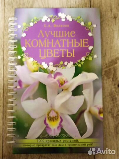 Книга 