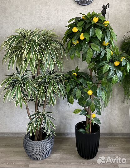 Искусственное дерево, искусственный цветок Фикус