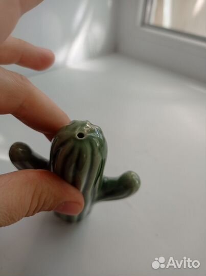 Набор редких кактусов HM Home