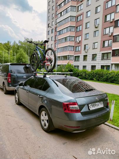 Рейлинги Lux