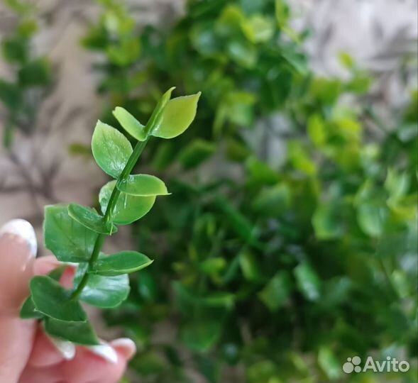 Набор вставка 