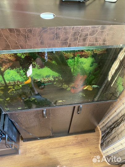 Аквариум с тумбой