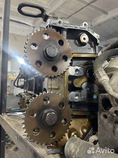 Ford Focus 2 Головка блока в сборе