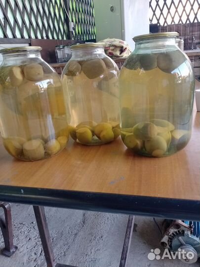 Компот из фейхоа