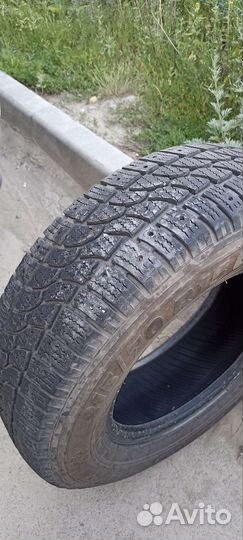 Tigar CargoSpeed Winter 215/70 R15