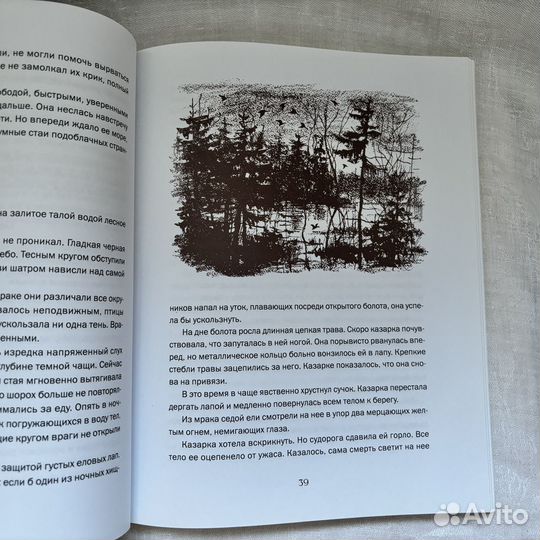 Новая книга Виталий Бианки Город и лес у моря