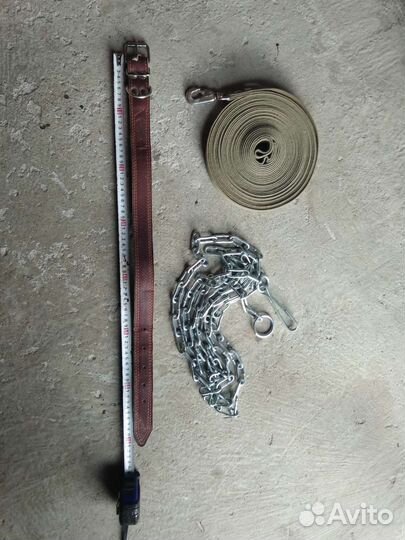 Ошейник, цепь, поводок