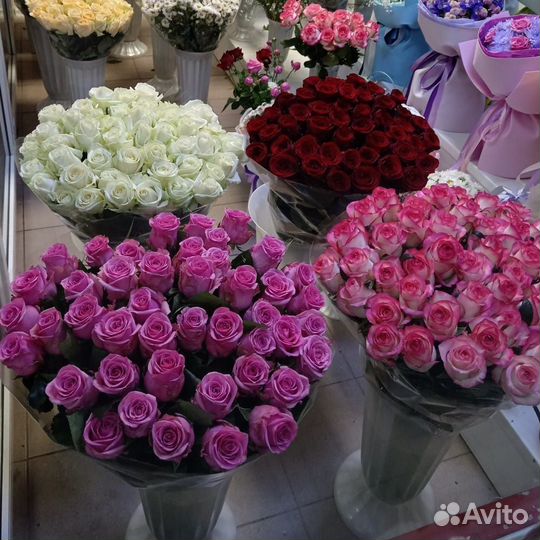 Метровые розы