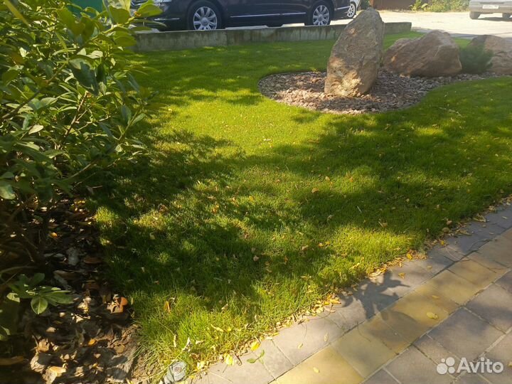 Рулонный Газон Волгоградский