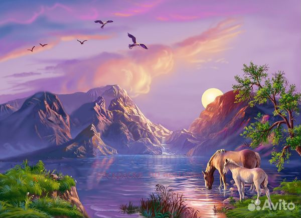 Картина по номерам 40x50 Лошади у прекрасного озер