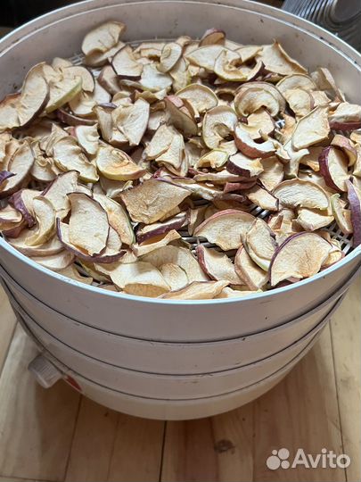 Сушеные яблоки и груши