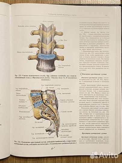 Атлас анатомии человека Синельников 1 и 2 том