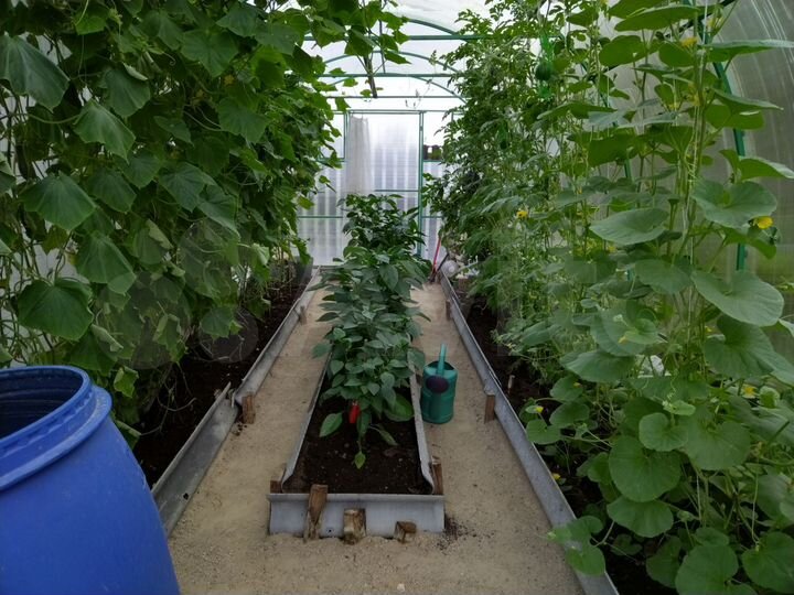 Дача 55 м² на участке 8 сот.