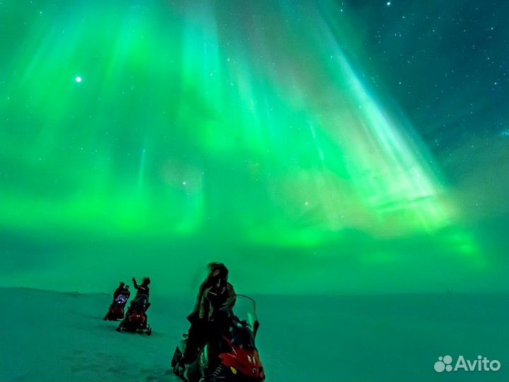 Экскурсия — Мурманск — Северное сияние— охота насн