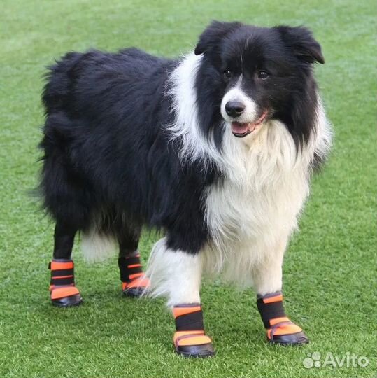 Ботинки обувь для собак крупных пород