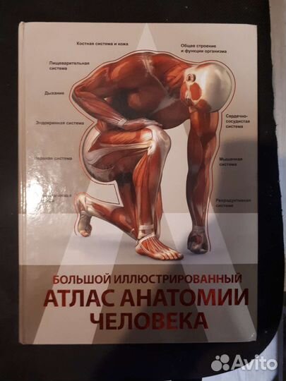 Продам Большой иллюстрированный атлас анатомии чел